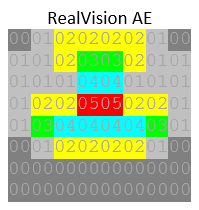 Realvision_AE.PNG