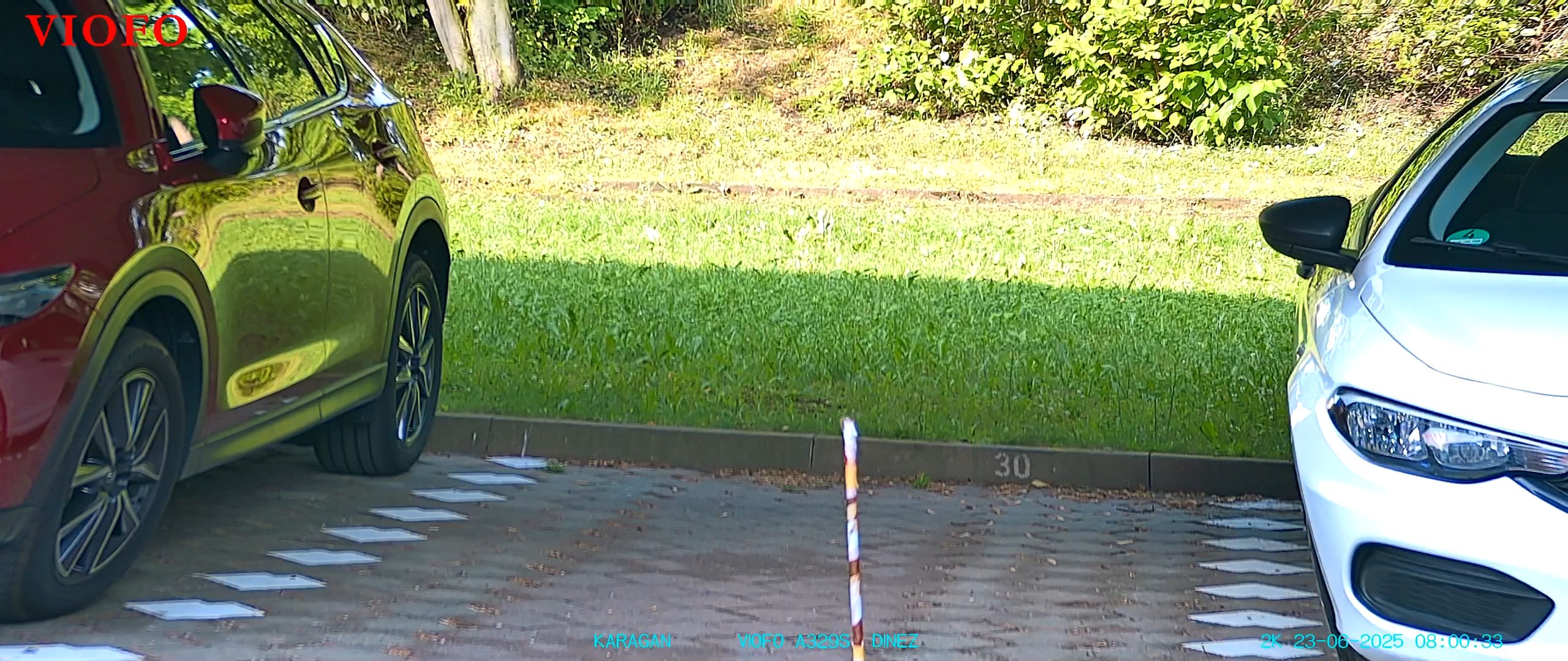 S.jpg