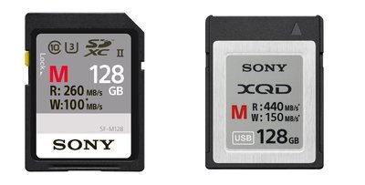 Sony SDxc & XQD card.jpg