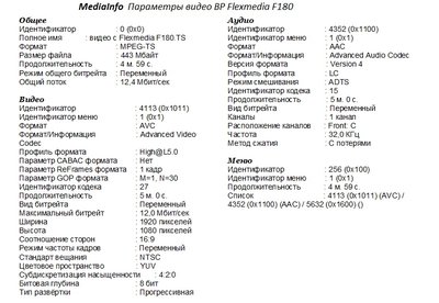 Mediainfo параметры Flexmedia F180.jpg